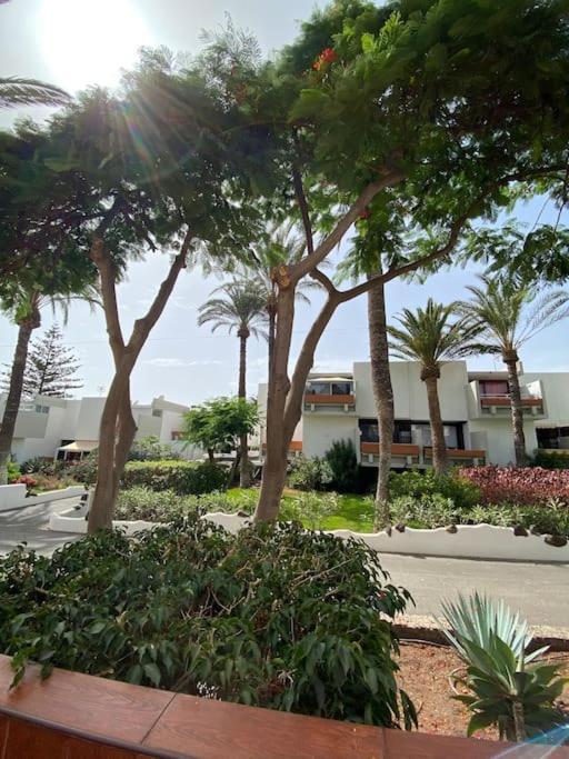 Deniz Sur - Bel Apartment Arona (Tenerife)